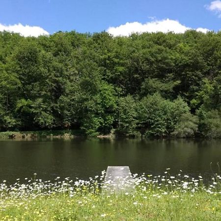 Appartement Aux Sources De La Chabanne Saint-Hilaire-les-Courbes 外观 照片