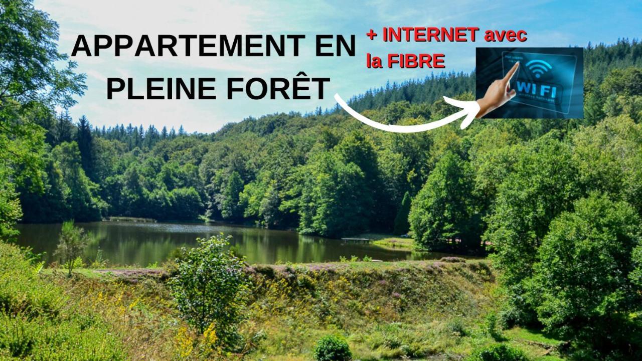 Appartement Aux Sources De La Chabanne Saint-Hilaire-les-Courbes 外观 照片